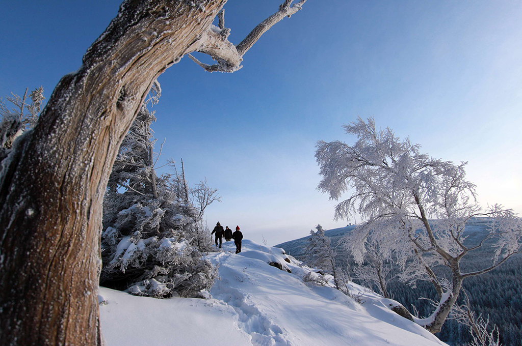 Eine Schneelandschaft