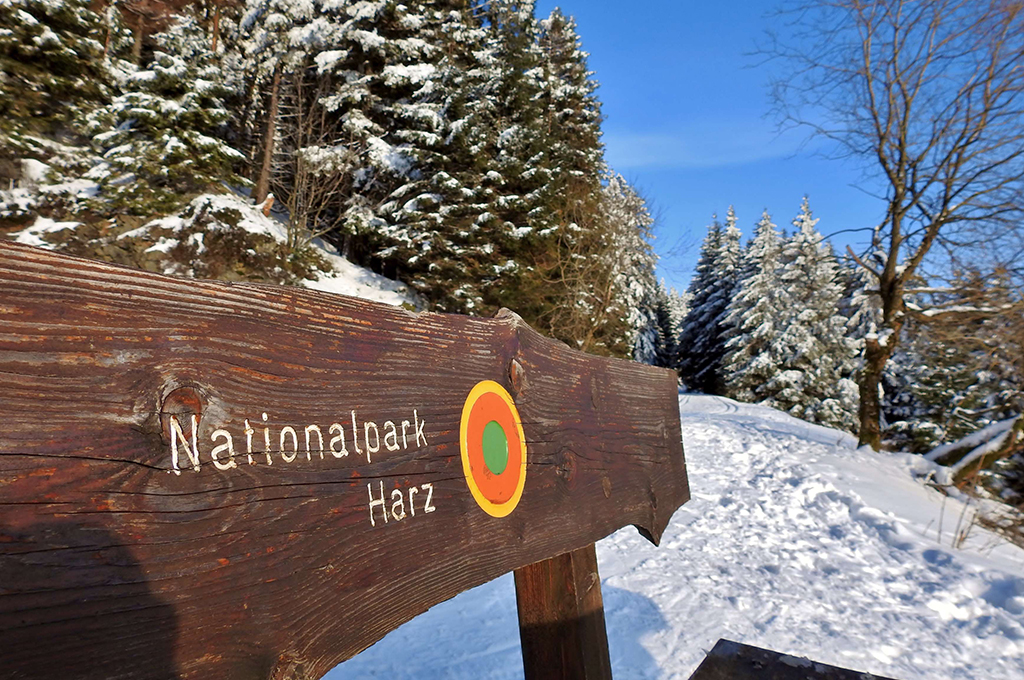 EIne Bank im Schnee