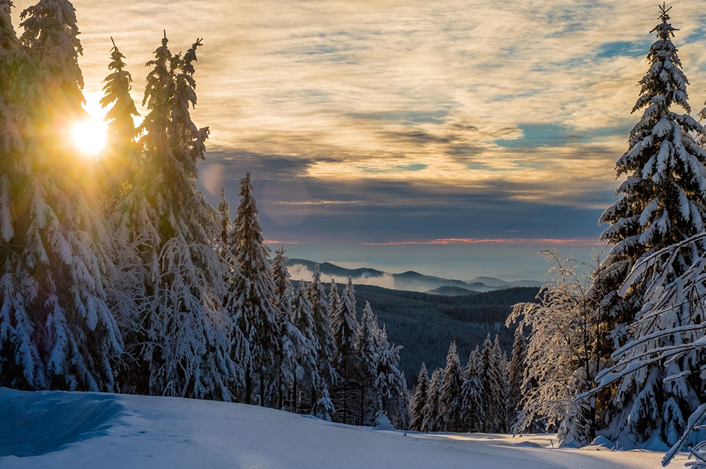Schneelandschaft