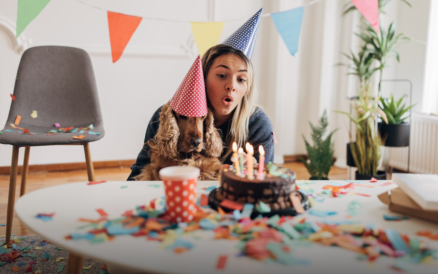 Hund auf dem Schoß einer Frau bei einer Party