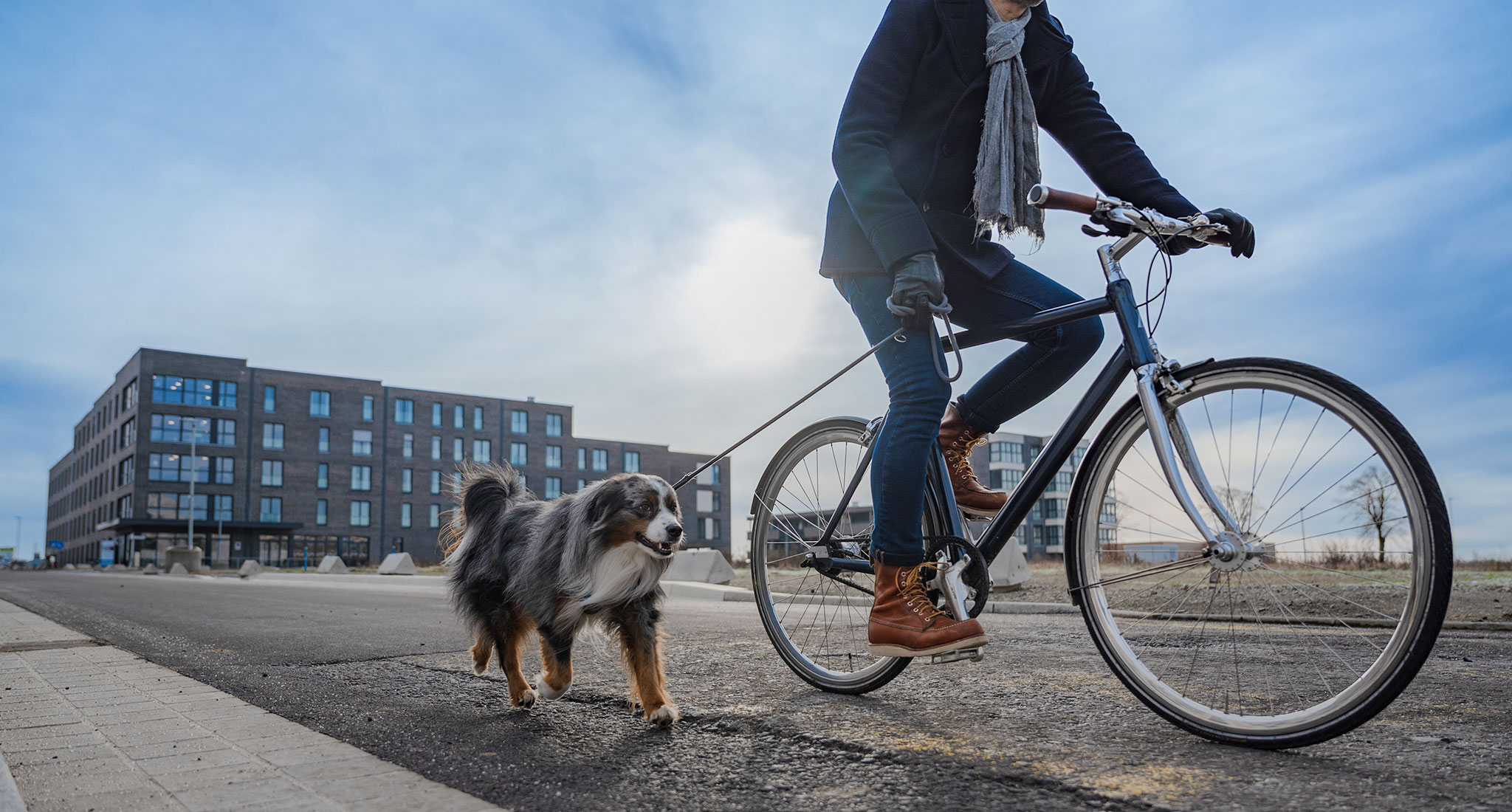 Mann auf einem Fahrrad mit einem Hund an der Leine fährt auf der Steimker Promenade.