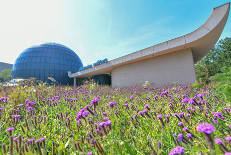 Planetarium Wolfsburg Gebaeude