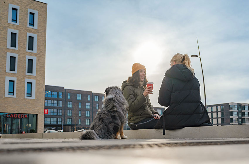 Steimker Gärten Quartiersplatz im Winter