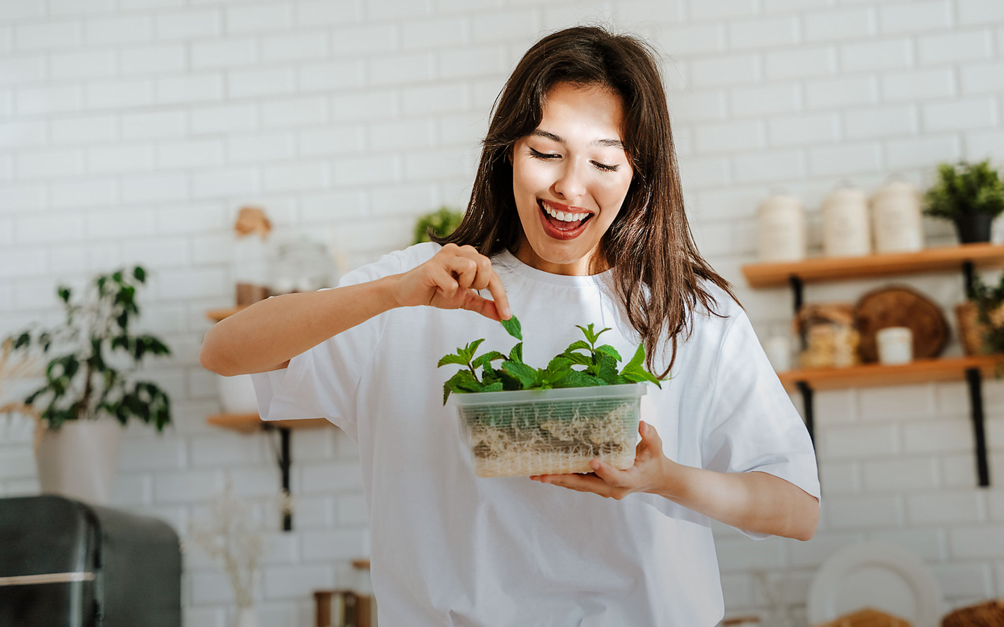 Ein fröhliche Frau erntet Minze in ihrer Küche