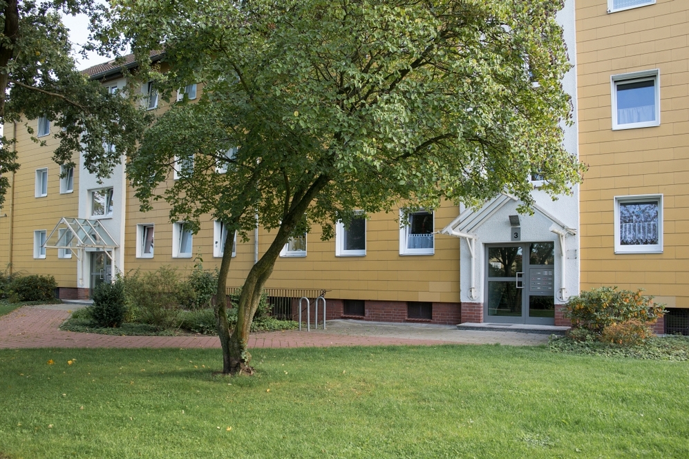 Mehrfamilienhaus mit gelber Fassade, grüner Wiese und großem Baum im Vordergrund.